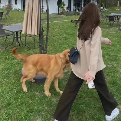 邪教档案之末日风暴